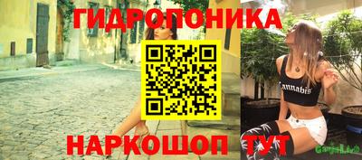 тгк Обь