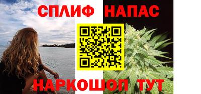 тгк Обь