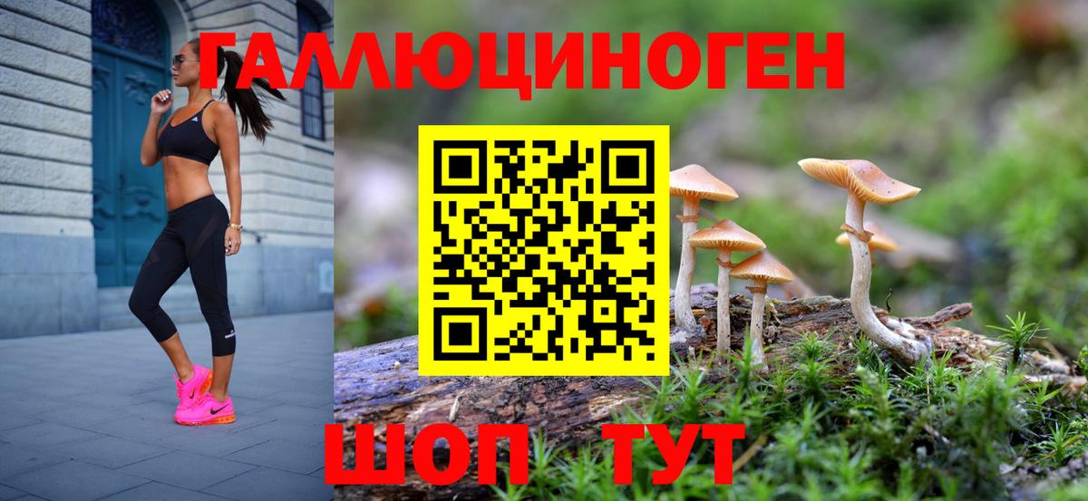 Галлюциногенные грибы прущие грибы  Вход с VPN  Старая Купавна 